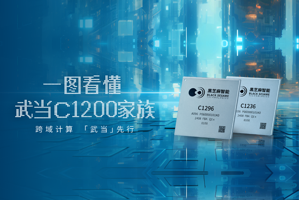 一圖看懂武當C1200家族