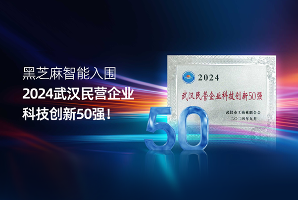 黑芝麻智能入圍2024武漢民營企業科技創新50強！