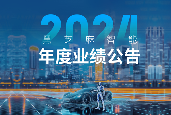 黑芝麻智能2024年財報解讀：技術驅動全場景突破，加速領跑智駕生態