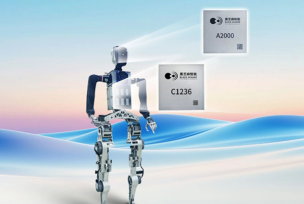 1741775719170068.png 1.png