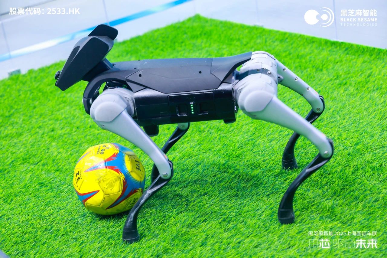 1745416132116174.jpg 1745416132116174.jpg